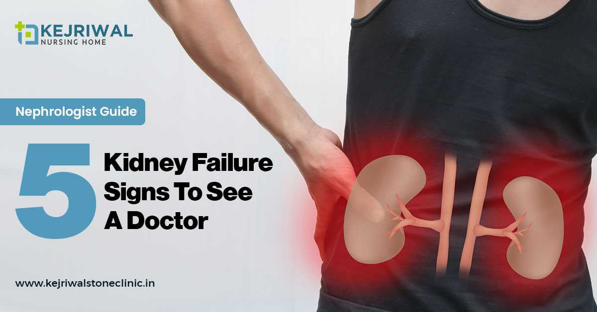Nephrologist Guide – 5 Kidney Failure Signs To See A Doctor