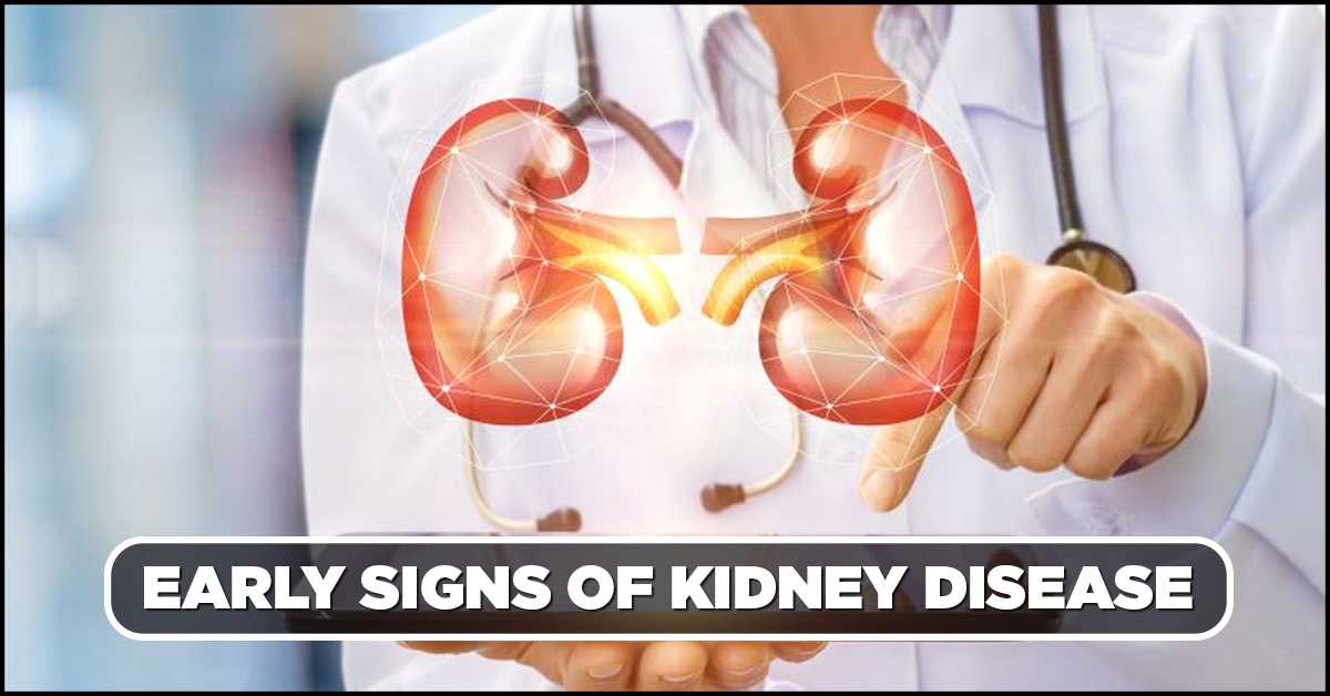 Early Signs Of Kidney Disease