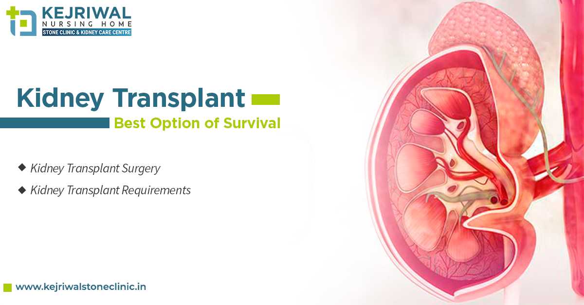 Kidney Transplant: Best Option Of Survival