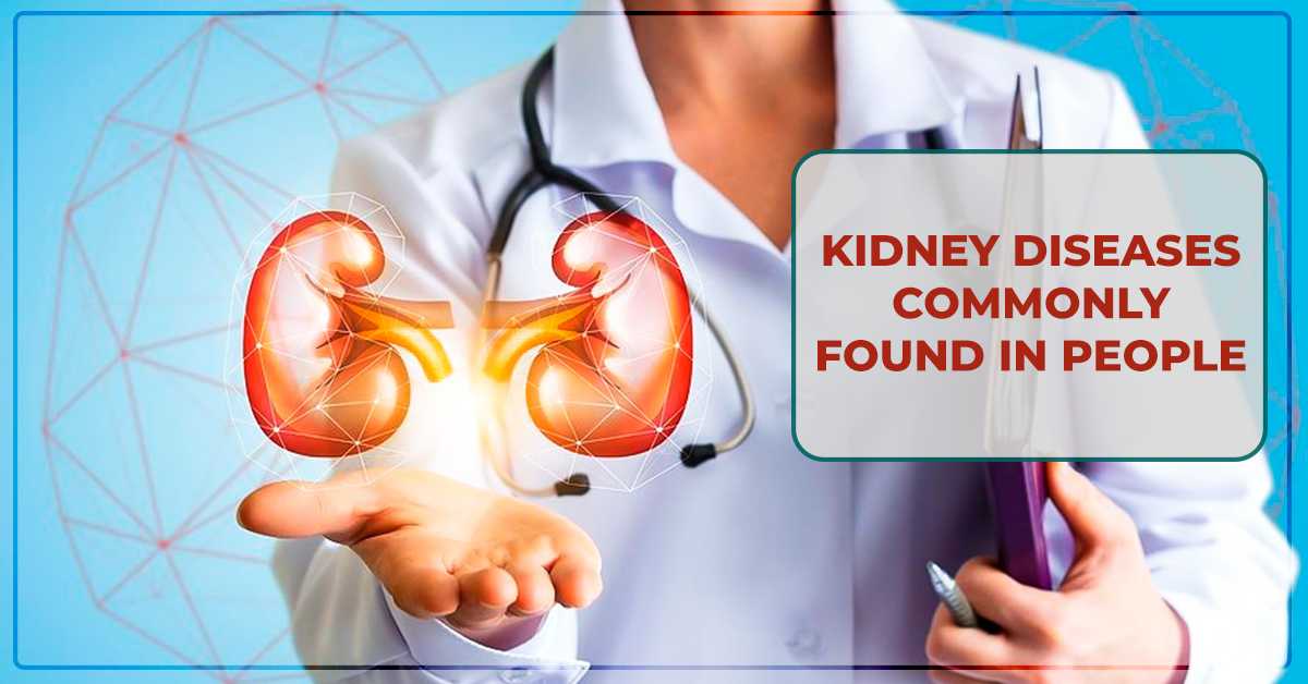 Most common kidney diseases in people