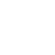 Kidney Transplantation